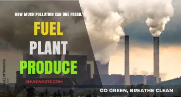 Unveiling the Environmental Impact: Fossil Fuel Plant Pollution