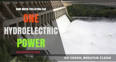 Hydroelectric Power's Environmental Impact: Can It Handle Pollution?