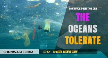 Ocean's Limit: Can We Save Our Seas from Pollution?