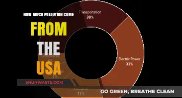 The USA's Pollution Problem: A Critical Analysis