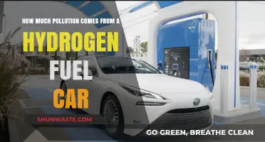 Hydrogen Cars: Pollution and the Future