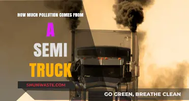 Trucks' Pollution: Understanding the Environmental Impact