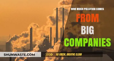 Big Business Pollution: Who's the Biggest Offender?