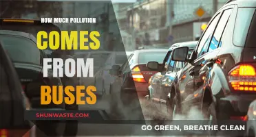 Bus Pollution: How Much is Too Much?