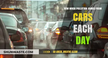 Cars: Daily Pollution and Health Hazards