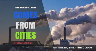 Urban Pollution: Understanding the Impact of Cities