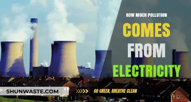 Electricity's Pollution Footprint: How Much is Too Much?