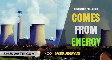 Energy's Pollution Problem: How Much is Too Much?