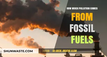 Fossil Fuels: Major Sources of Pollution