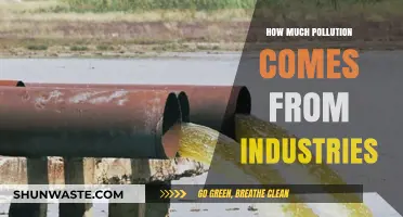 Industrial Pollution: The Dark Side of Manufacturing
