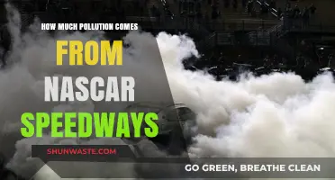 NASCAR Speedways: Pollution, Problems, and Solutions