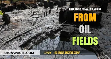 Oil Fields: Pollution, Problems, and Solutions