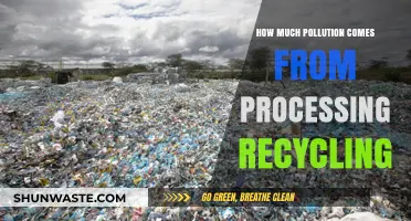 The Dark Side of Recycling: Pollution in Processing