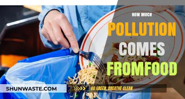 Food's Pollution Problem: The Environmental Cost of Eating