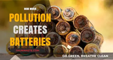 The Dark Side of Batteries: Pollution Generated