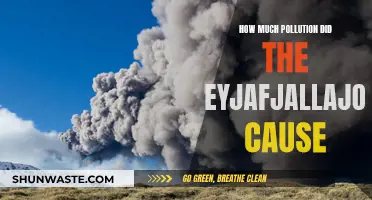 Eyjafjallajokull's Impact: A Volcanic Pollution Story