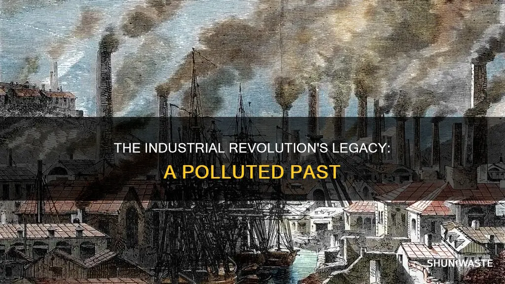 how much pollution did the industrial revolution cause