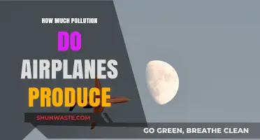 Airplane Pollution: How Much Damage is Done?
