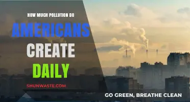 Americans' Daily Pollution Output: A Sobering Reality Check