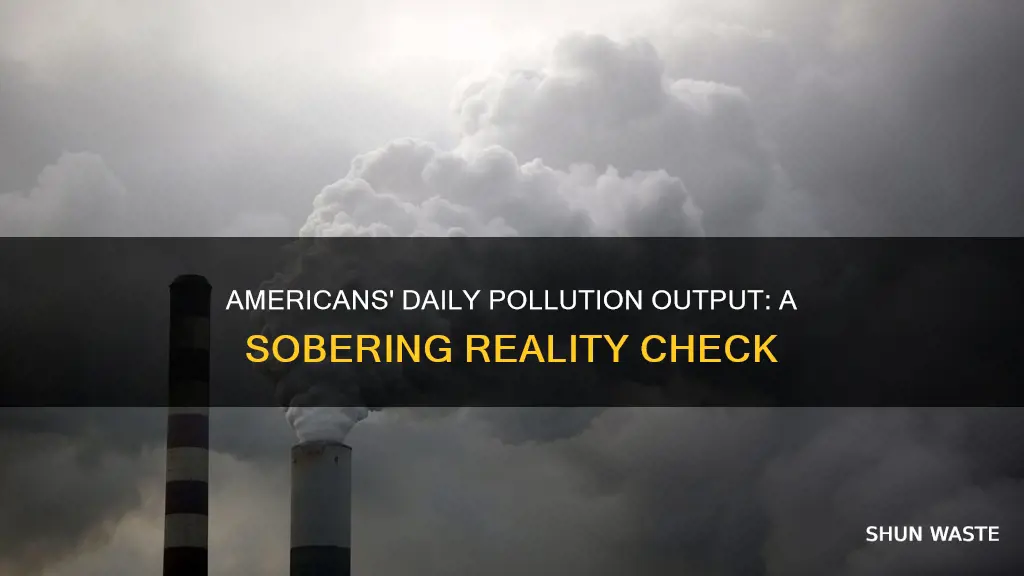 how much pollution do americans create daily