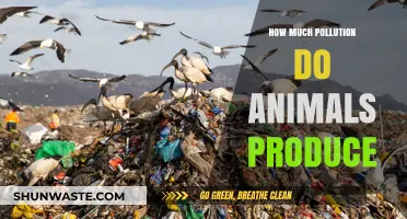 Animals and Pollution: What's the Real Impact?