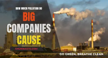 Unveiling Corporate Pollution: A Global Environmental Crisis