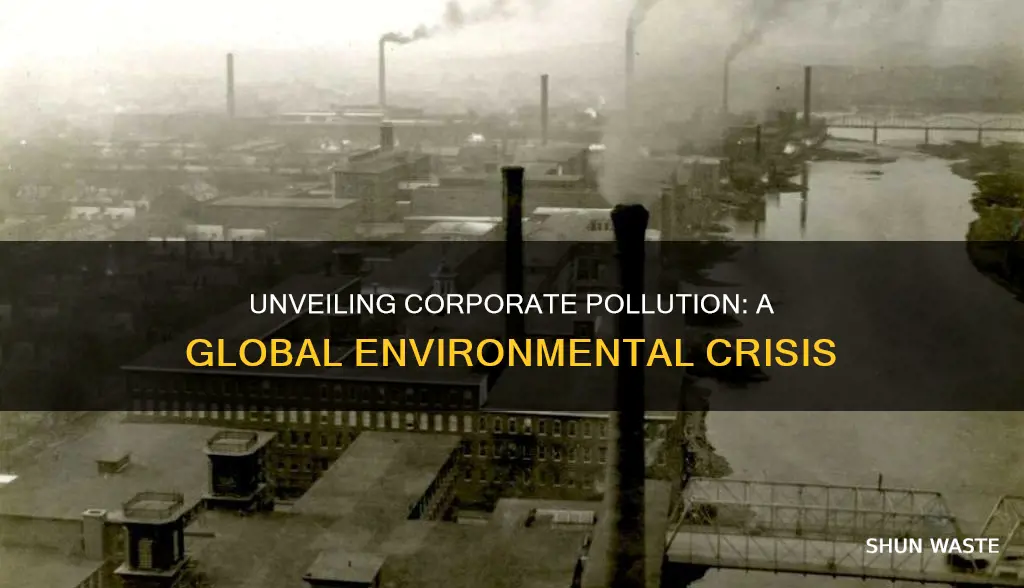 how much pollution do big companies cause