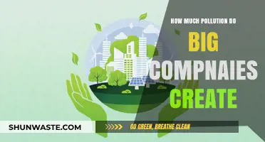 Big Companies' Pollution: Who's to Blame?