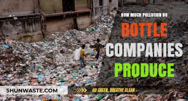 Bottle Companies: The Pollution They Create