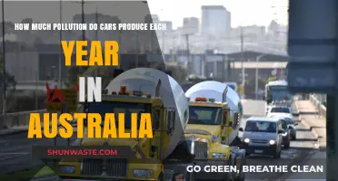 Cars' Pollution Problem in Australia: Annual Emissions Examined