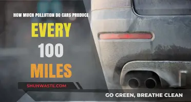 Cars' Pollution Secrets: 100 Miles of Emissions