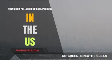 Cars' Pollution Problem in the US: By the Numbers