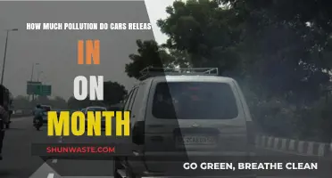Cars: Understanding Monthly Pollution Emissions