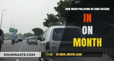 Cars: Silent Killers on the Road