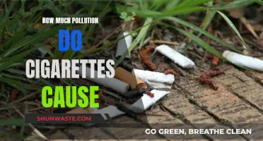 Cigarettes: A Hidden Environmental Hazard