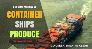 The Impact of Container Ships: Pollution and the Planet