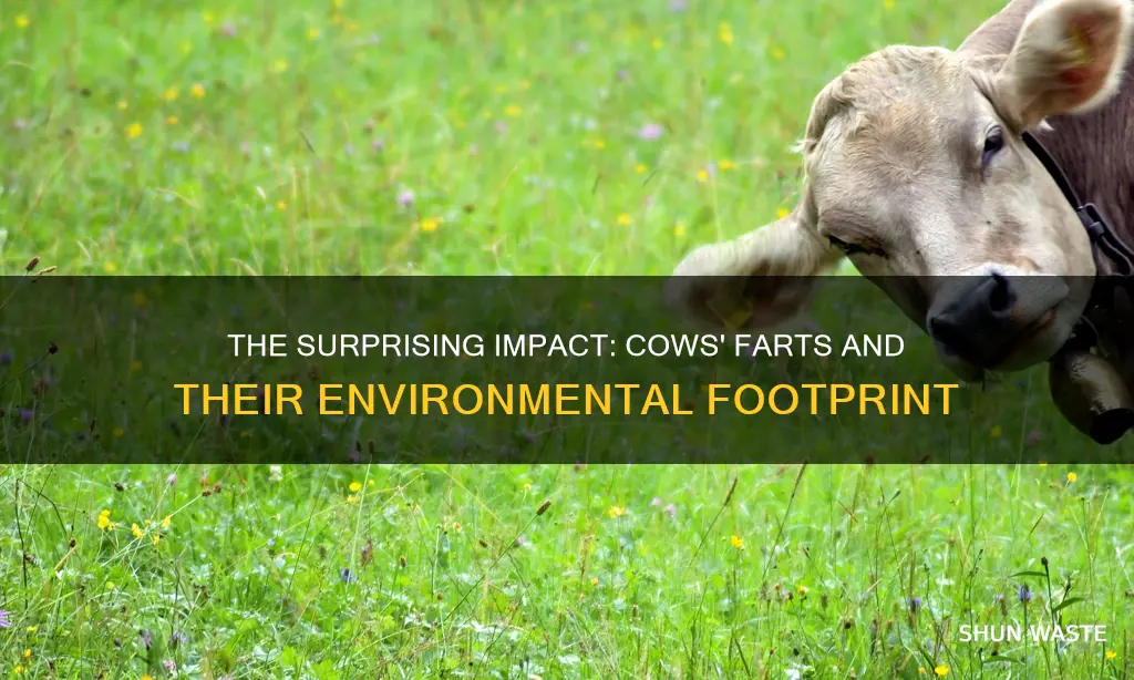 how much pollution do cow farts cause