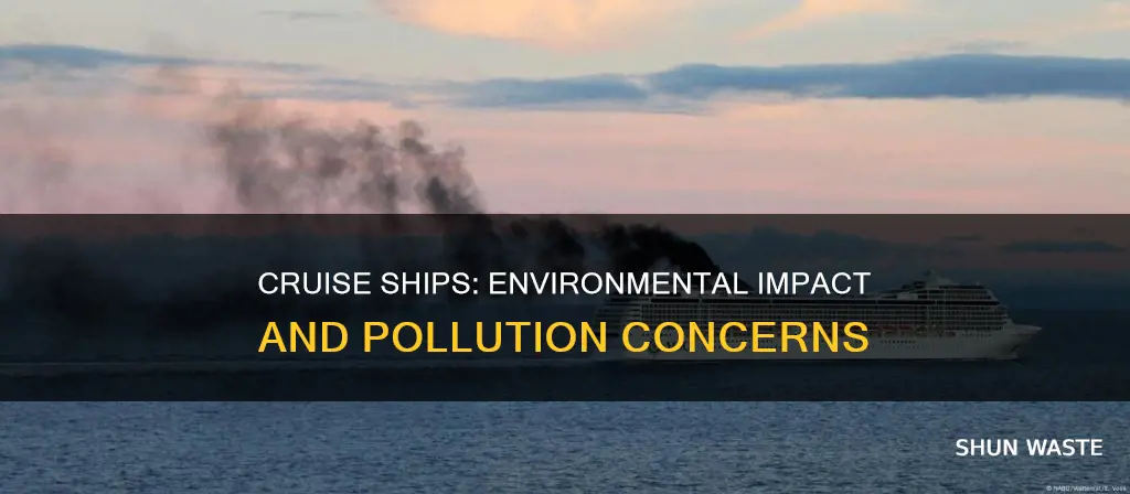 how much pollution do cruise ships cause