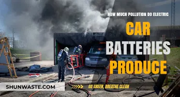 Electric Car Batteries: Pollution Paradox?