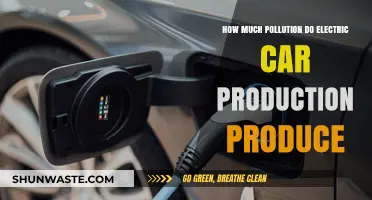 Electric Cars: Green or Polluting?