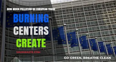 European Trash Burning: What's the Pollution Cost?