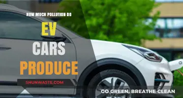 Electric Vehicles: Pollution Produced and What It Means