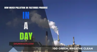 Factory Pollution: Daily Emissions and Their Impact