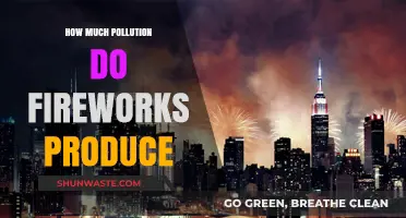 Fireworks' Pollution: How Much Damage Do They Cause?