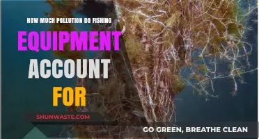 Fishing Gear's Pollution Impact: Understanding the Environmental Cost