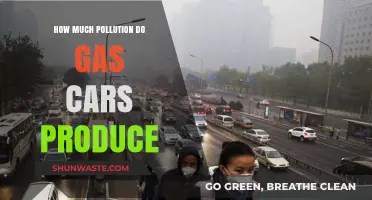 Gas Cars: Pollution and the Environment