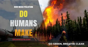Human-Made Pollution: A Global Crisis