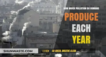 Human-Induced Pollution: Annual Emissions and Their Impact
