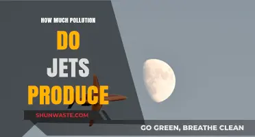 Jets and Pollution: How Much is Too Much?