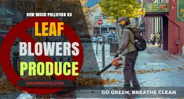 Leaf Blowers: Pollution, Problems, and Solutions